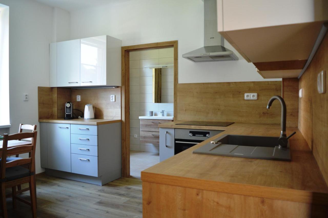 Apartman U Maleho Jezu Czeskie Budziejowice Zewnętrze zdjęcie