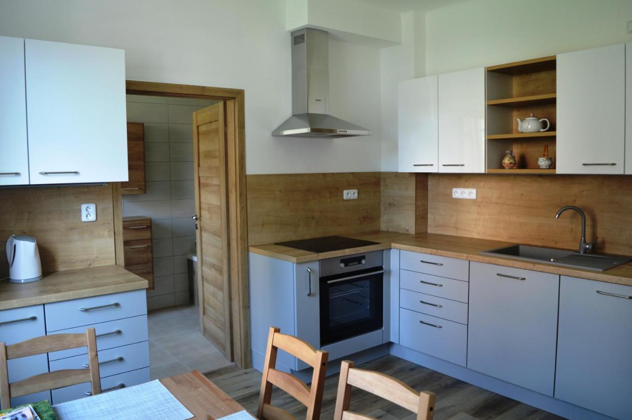 Apartman U Maleho Jezu Czeskie Budziejowice Zewnętrze zdjęcie