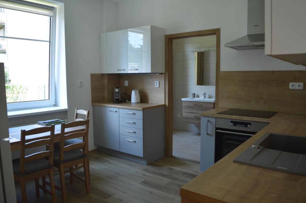 Apartman U Maleho Jezu Czeskie Budziejowice Zewnętrze zdjęcie